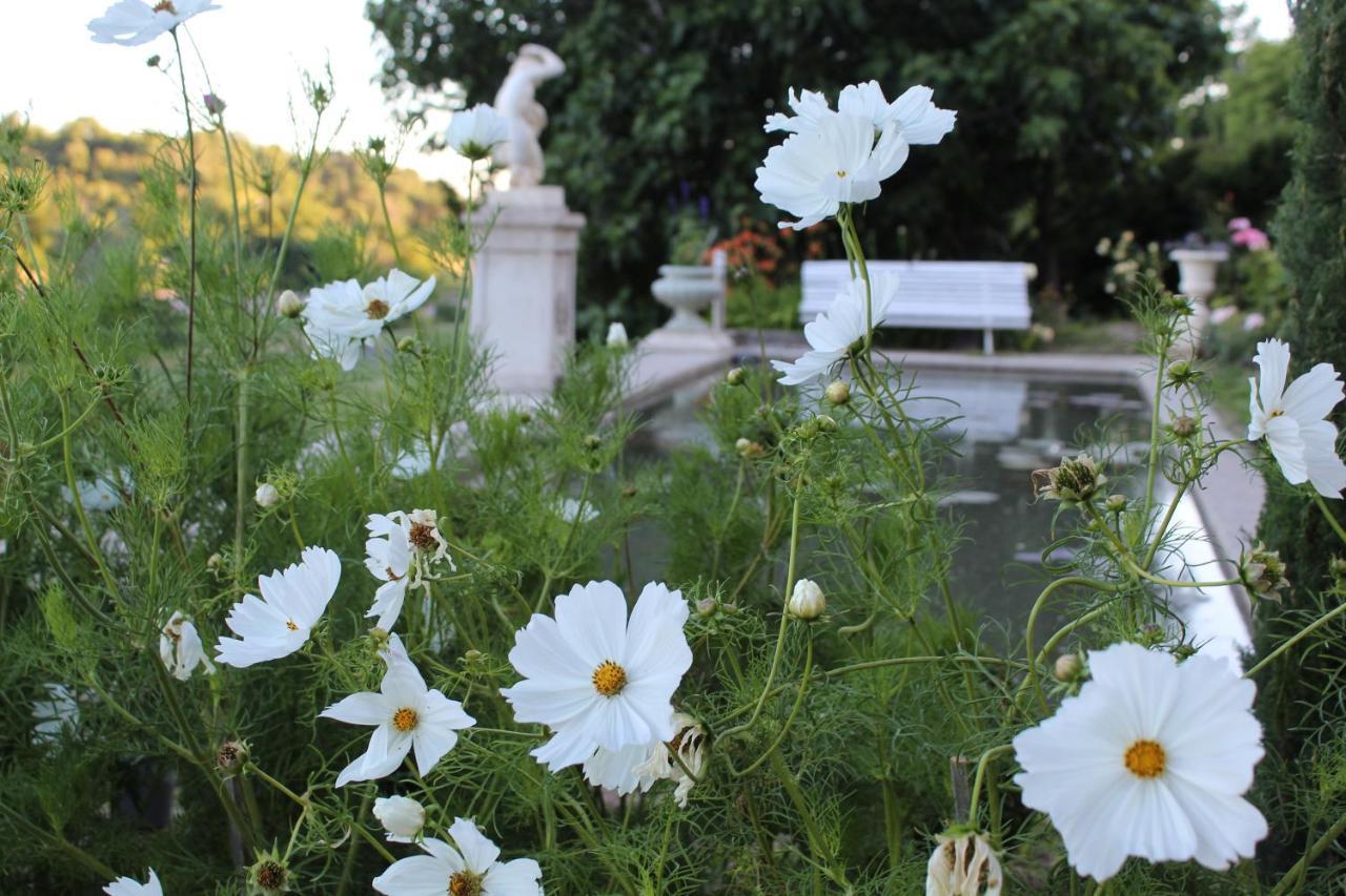 Chateau Du Grand Jardin Valensole Kültér fotó