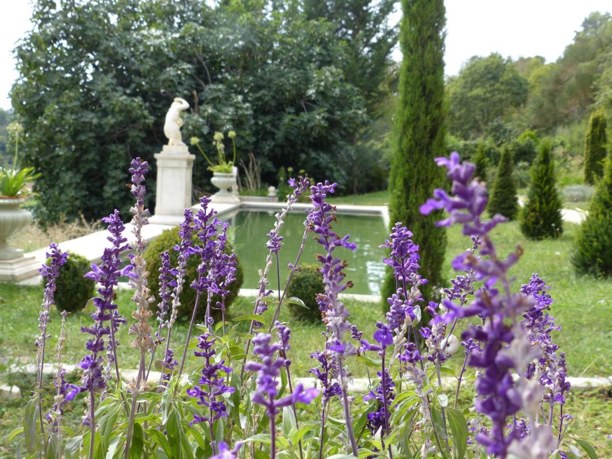 Chateau Du Grand Jardin Valensole Kültér fotó