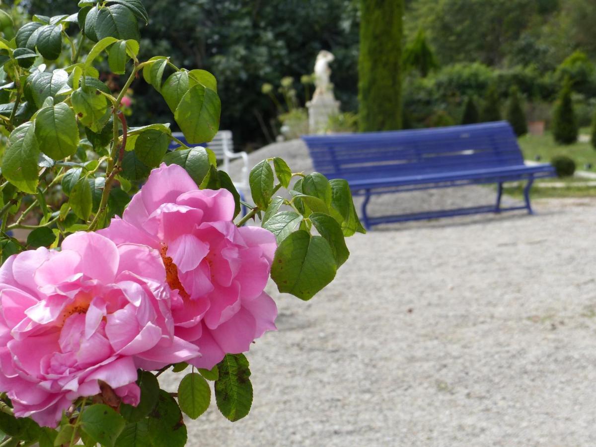 Chateau Du Grand Jardin Valensole Kültér fotó