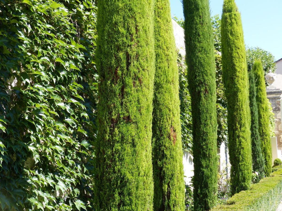 Chateau Du Grand Jardin Valensole Kültér fotó